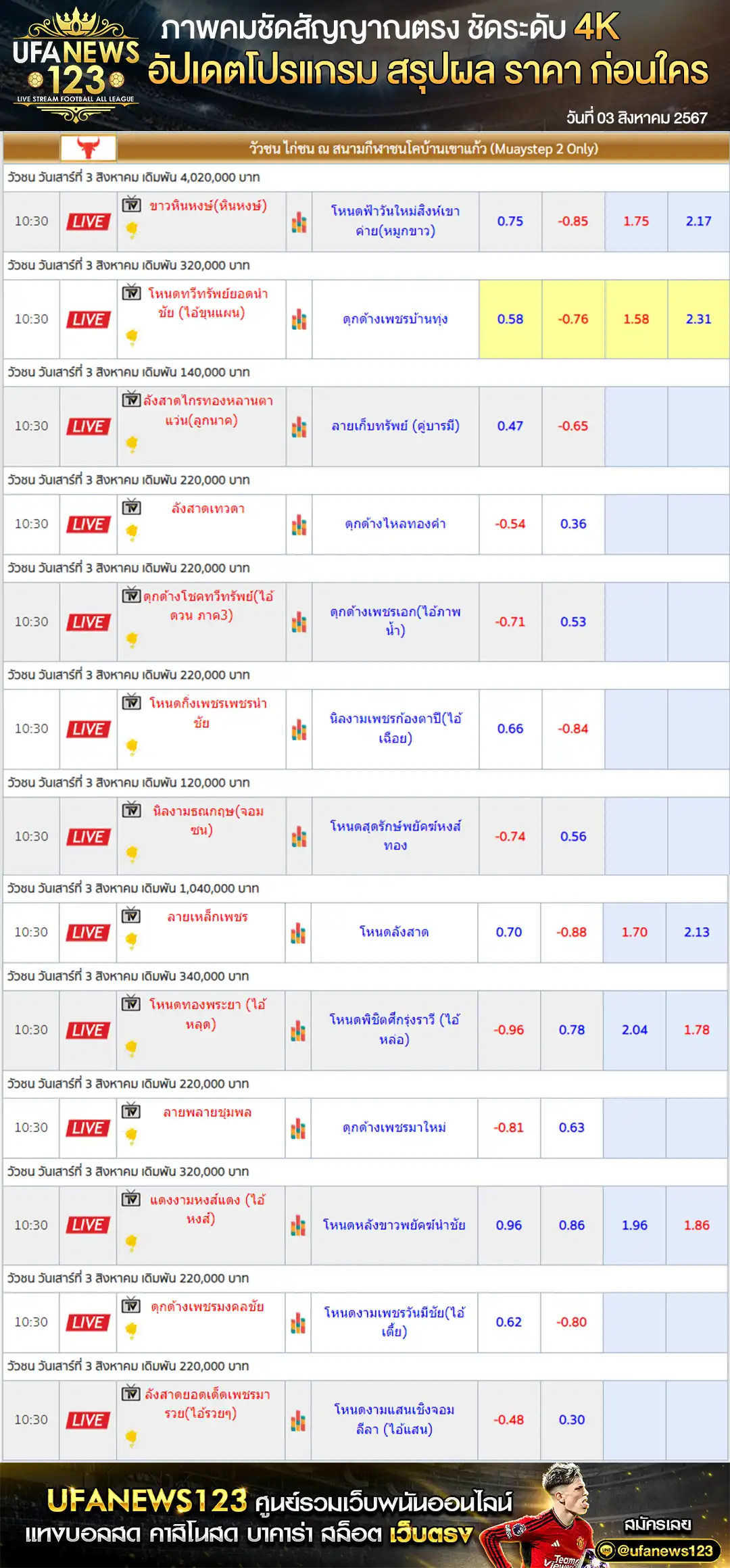 ราคาวัวชน สนามชนโคบ้านเขาแก้ว เริ่มชนเวลา 09.30 น. 03 สิงหาคม 2567