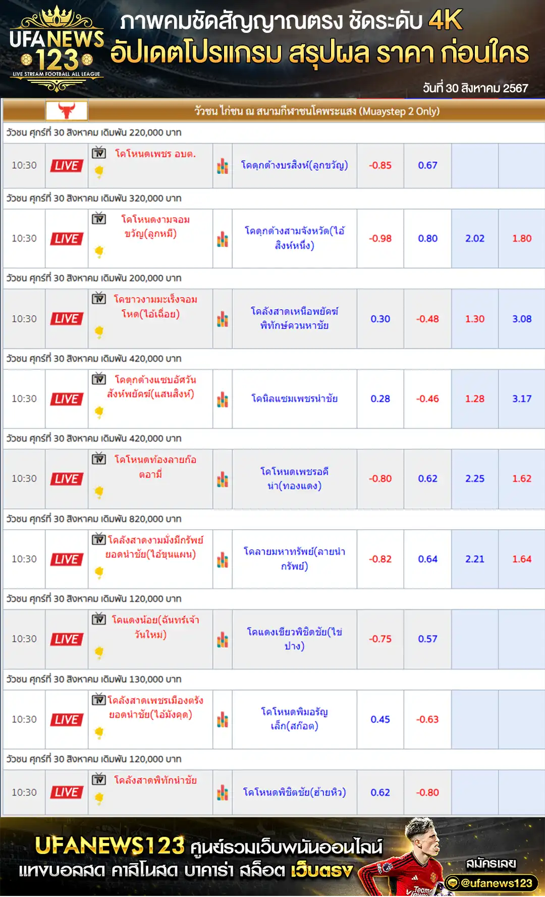 ราคาวัวชน สนามชนโคพระแสง เริ่มชนเวลา 10.00 น. 30 สิงหาคม 2567