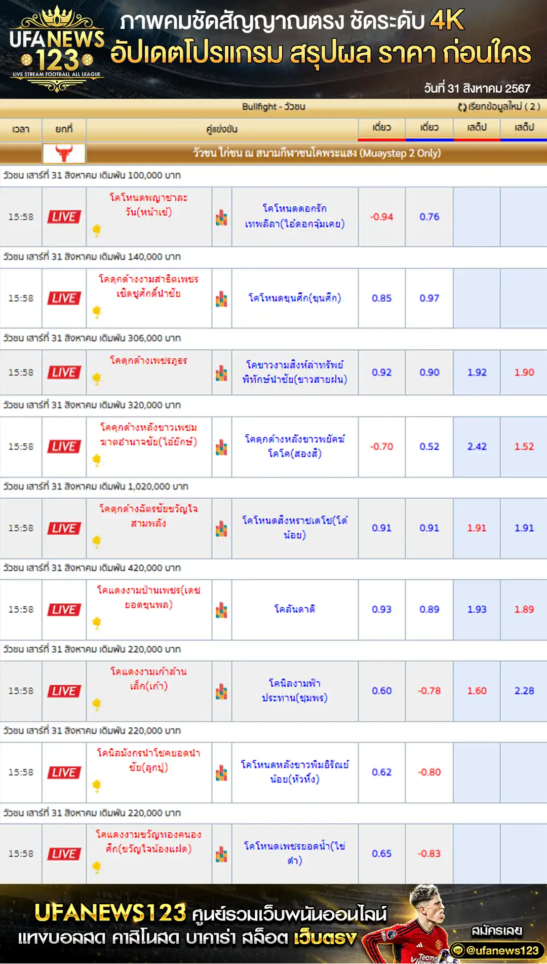 ราคาวัวชน สนามกีฬาชนโคพระแสง เริ่มชนเวลา 10:00 น. 31 สิงหาคม 2567