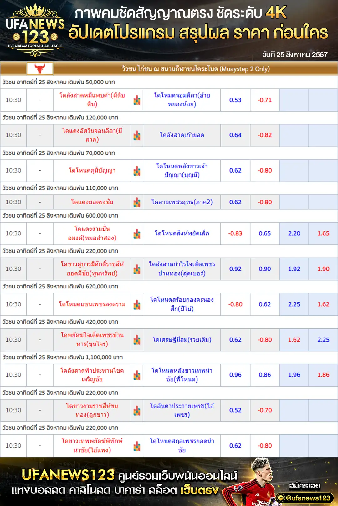 ราคาวัวชน สนามชนโคระโนดสเตเดี้ยม เริ่มชนเวลา 10:30 น. 25 สิงหาคม 2567