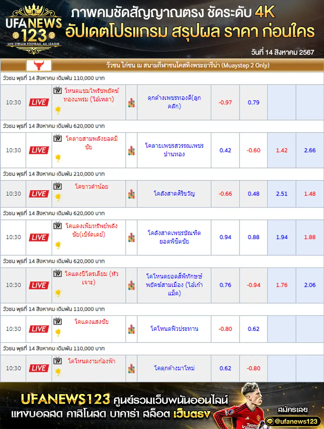 ราคาวัวชน สนามกีฬาชนโคสทิงพระอารีน่า เริ่มชนเวลา 10:30 น. 14 สิงหาคม 2567