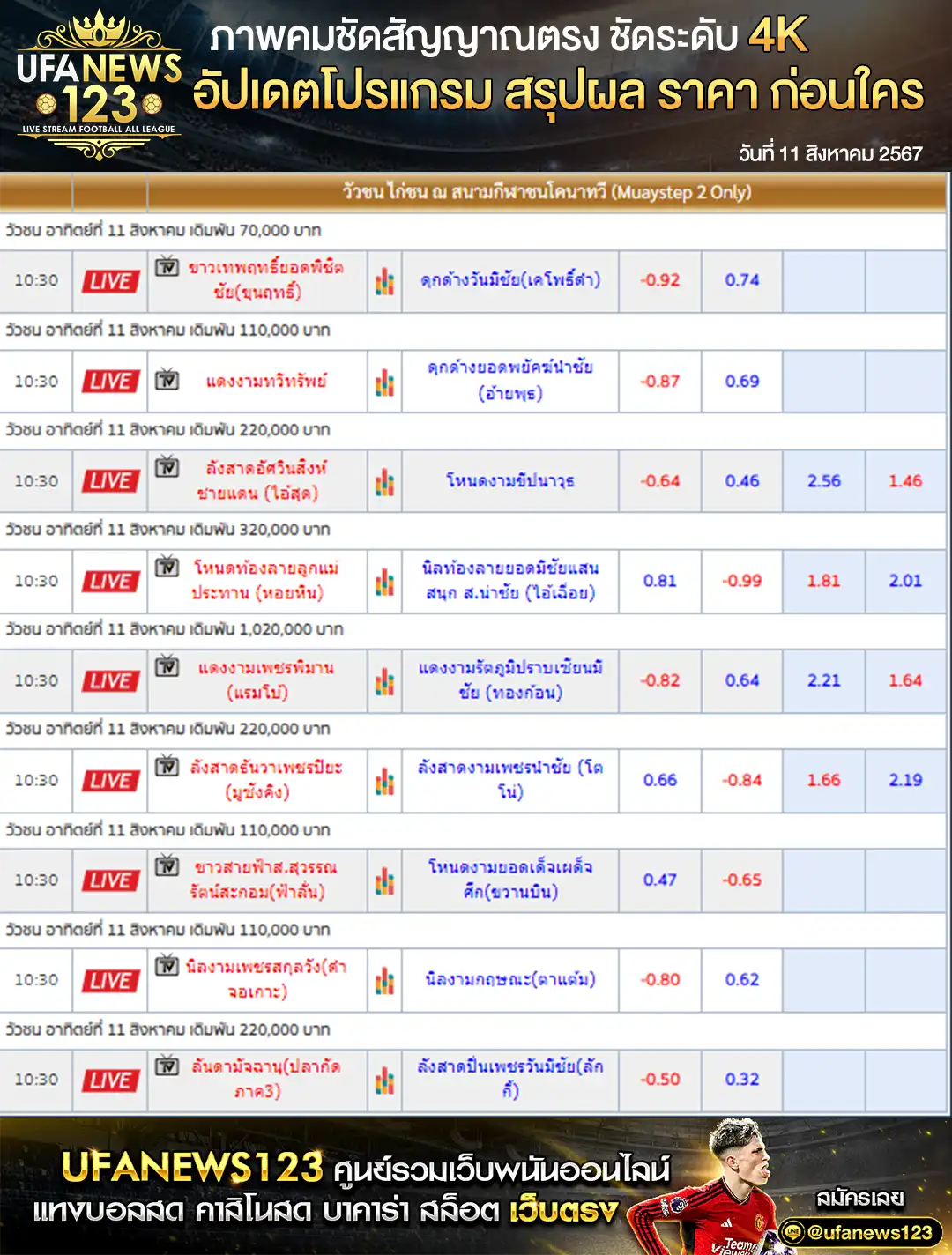 ราคาวัวชน สนามชนโคอำเภอนาทวี เริ่มเวลา 10.30 น. 11 สิงหาคม 2567