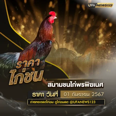 ราคาไก่ชน 01 กันยายน 2567