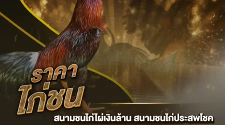 ราคาไก่ชน 04 สิงหาคม 2567