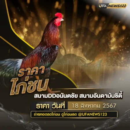 ราคาไก่ชน 18 สิงหาคม 2567