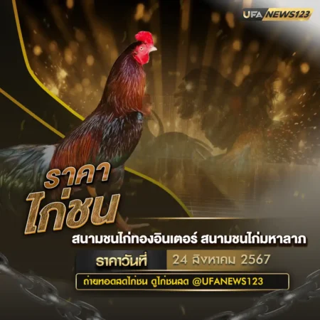 ราคาไก่ชน 24 สิงหาคม 2567