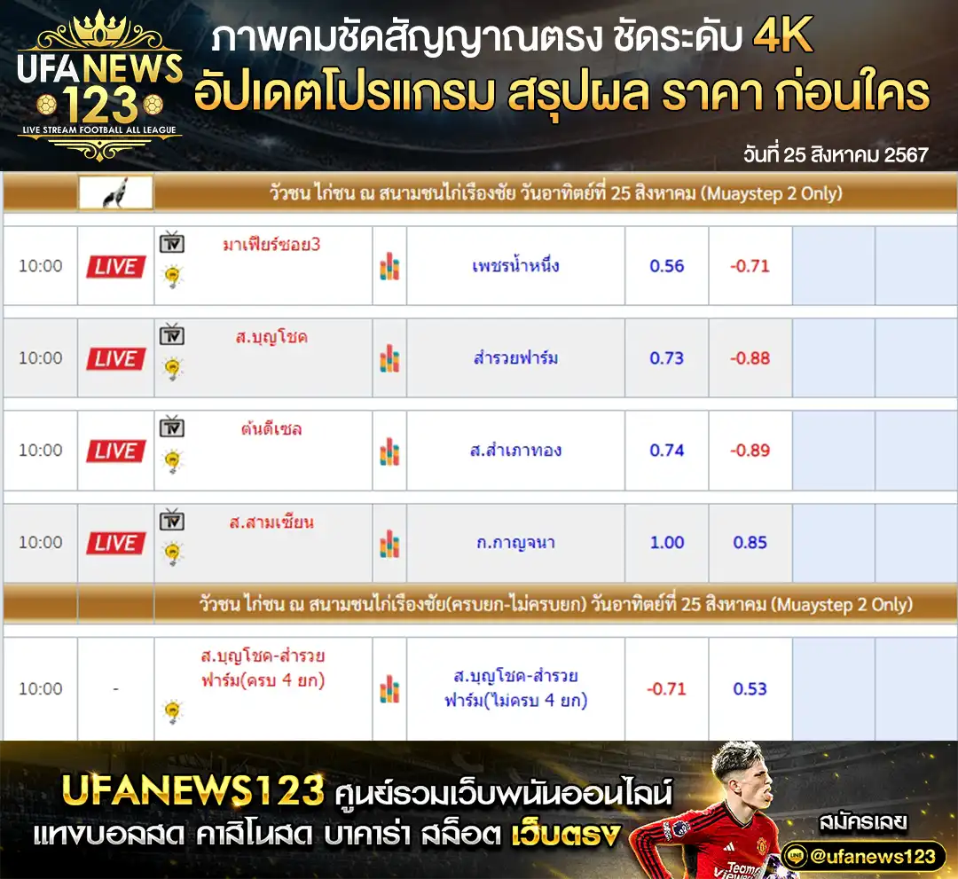 ราคาไก่ชน สนามชนไก่เรืองชัย เริ่มเวลา 10:00 น. 25 สิงหาคม 2567