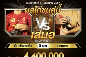 เทปไก่ชน รุ่งเจริญฟาร์ม VS ส.กฤษกร 11 สิงหาคม 2567