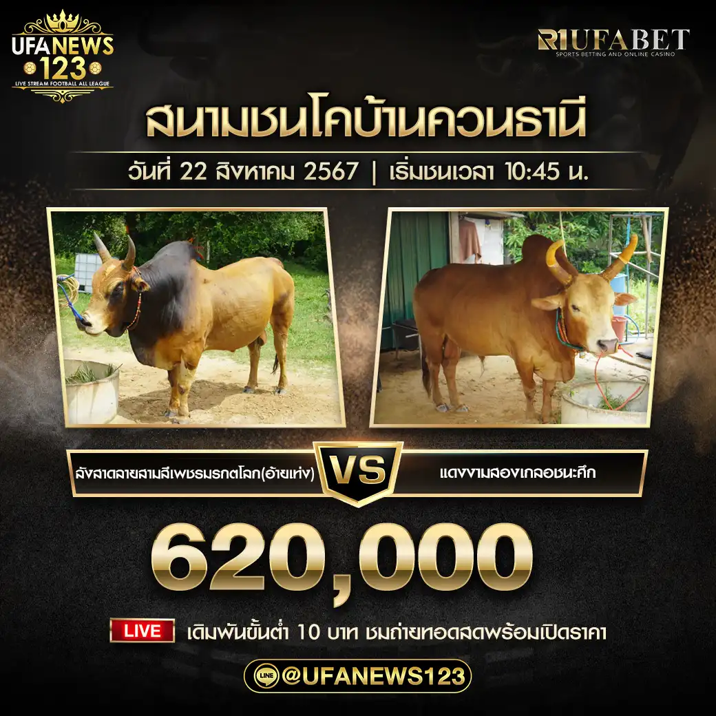 ลังสาดลายสามสีเพชรมรกตโลก(อ้ายเท่ง) VS แดงงามสองเกลอชนะศึก ชิงรางวัล 620,000 บาท