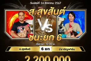 เทปไก่ชน ส.สุขสันต์ VS ขำเจริญฟาร์ม 24 สิงหาคม 2567