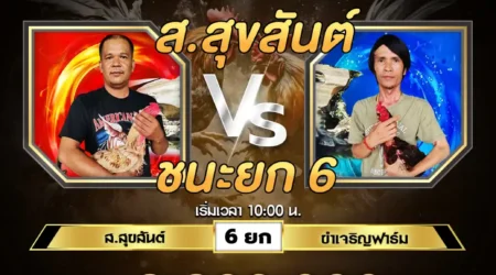 เทปไก่ชน ส.สุขสันต์ VS ขำเจริญฟาร์ม 24 สิงหาคม 2567