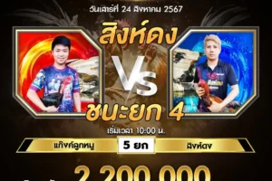 เทปไก่ชน แก๊งค์ลูกหมู VS สิงห์ดง 24 สิงหาคม 2567