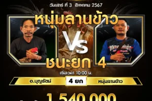 เทปไก่ชน อ.บุญรัตน์ VS หนุ่มลานข้าว 03 สิงหาคม 2567