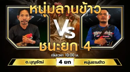 เทปไก่ชน อ.บุญรัตน์ VS หนุ่มลานข้าว 03 สิงหาคม 2567