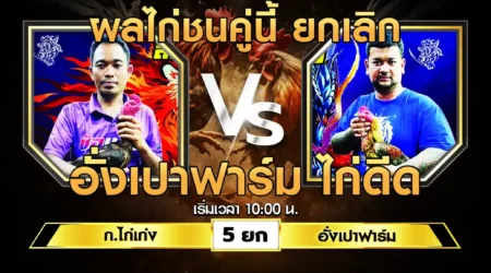 เทปไก่ชน ก.ไก่เก่ง VS อั่งเปาฟาร์ม 03 สิงหาคม 2567