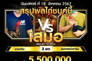 เทปไก่ชน อาลาดิน VS ธนากรณ์ฟาร์ม 17 สิงหาคม 2567