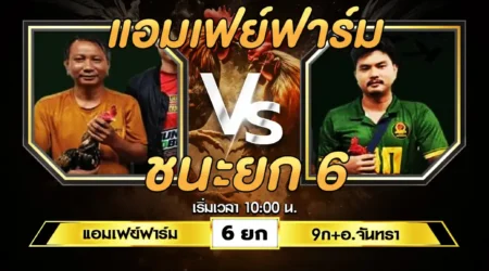 เทปไก่ชน แอมเฟย์ฟาร์ม VS 9ก+อ.จันทรา 03 สิงหาคม 2567