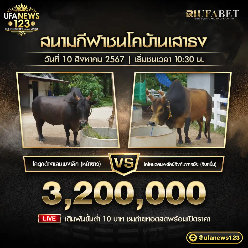 โคดุกด้างแสนเชิงเล็ก (หน้ายาว) VS โคโหนดคมพยัคฆ์สิงห์มงคลชัย (สิบหมื่น) ชิงรางวัล 3,200,000 บาท