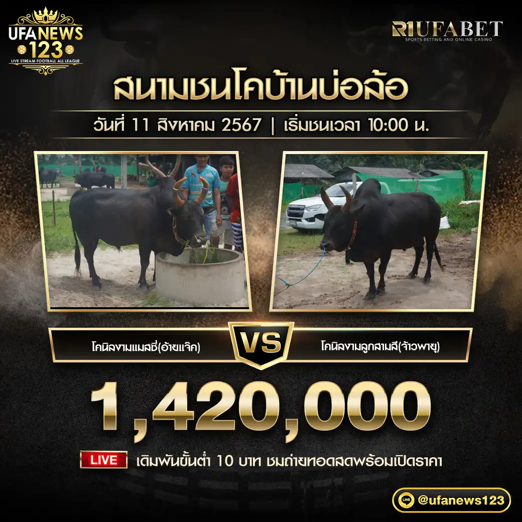 โคนิลงานแมสซี่(อ้ายแจ็ค) VS โคนิลงามลูกสามสี(จ้าวพายุ) ชิงรางวัล 1,420,000 บาท