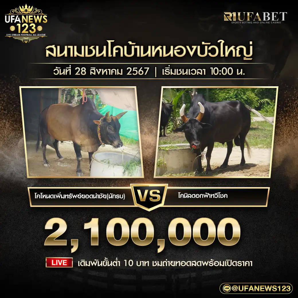 โคโหนดเพิ่มทรัพย์ยอดนำชัย(นักรบ) VS โคนิลดอกฟ้าทวีโชค ชิงรางวัล 2,100,000 บาท