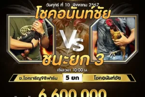 เทปไก่ชน ช.โชคเจริญ98ฟาร์ม VS โชคอนันท์ชัย 10 สิงหาคม 2567