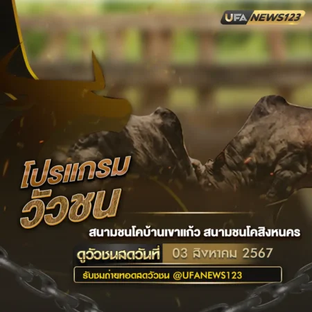 โปรแกรมวัวชน 03 สิงหาคม 2567