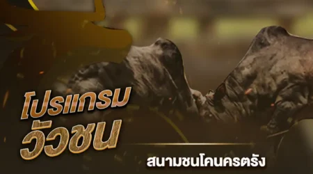 โปรแกรมวัวชน 06 สิงหาคม 2567