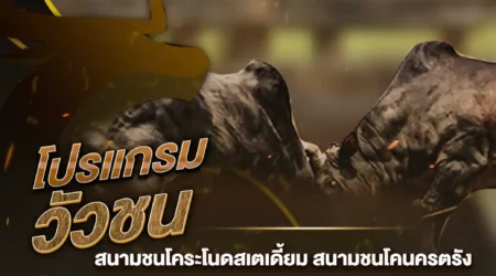 โปรแกรมวัวชน 08 สิงหาคม 2567