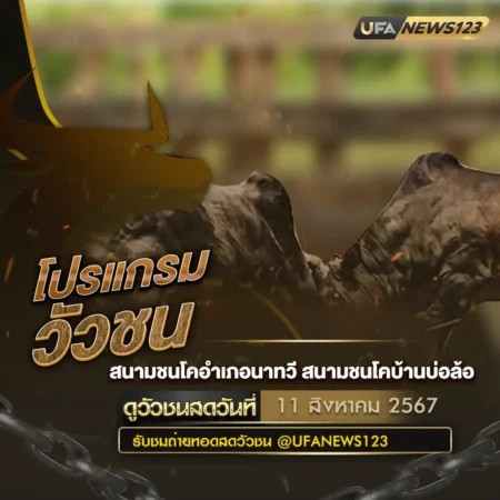 โปรแกรมวัวชน 11 สิงหาคม 2567