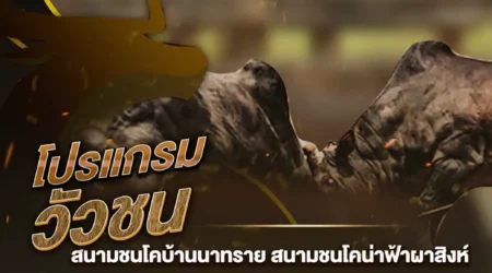 โปรแกรมวัวชน 18 สิงหาคม 2567