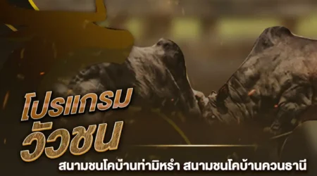 โปรแกรมวัวชน 22 สิงหาคม 2567