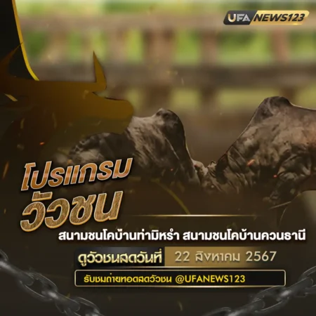 โปรแกรมวัวชน 22 สิงหาคม 2567