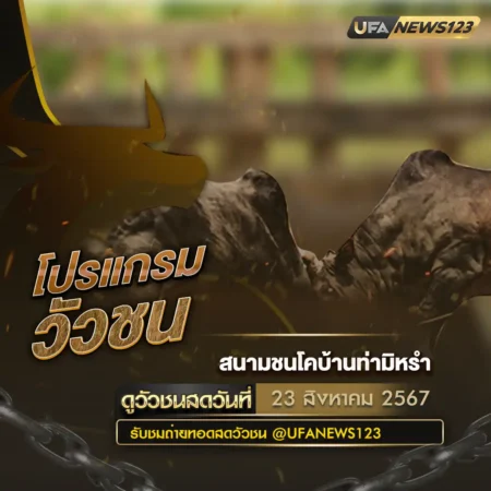 โปรแกรมวัวชน 23 สิงหาคม 2567