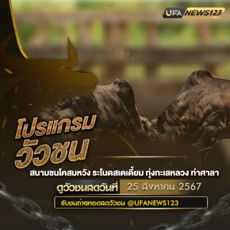 โปรแกรมวัวชน 25 สิงหาคม 2567