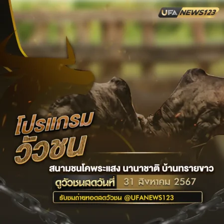 โปรแกรมวัวชน 31 สิงหาคม 2567