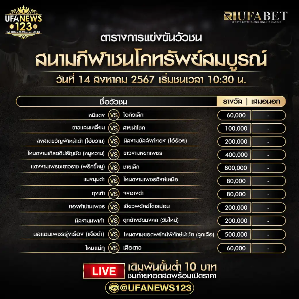 โปรแกรมวัวชน สนามกีฬาชนโคทรัพย์สมบูรณ์ เริ่มชนเวลา 10:30 น. 13 สิงหาคม 2567