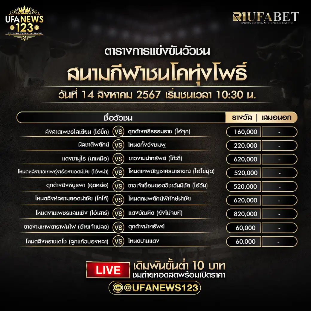 โปรแกรมวัวชน สนามกีฬาชนโคทุ่งโพธิ์ เริ่มชนเวลา 10:30 น. 13 สิงหาคม 2567