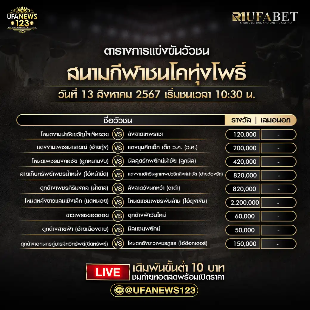 โปรแกรมวัวชน สนามกีฬาชนโคทุ่งโพธิ์สเตเดียม เริ่มชนเวลา 10.30 น. 13 สิงหาคม 2567