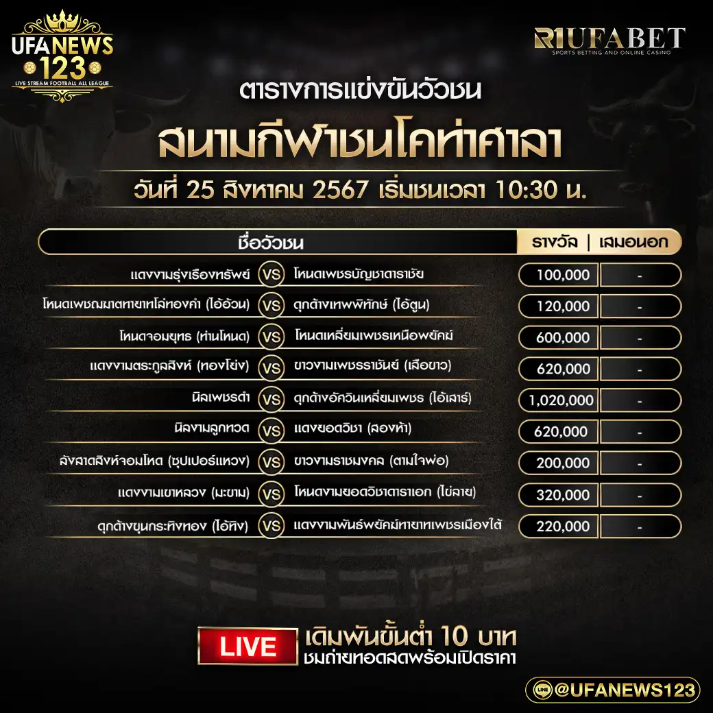 โปรแกรมวัวชน สนามชนโคท่าศาลา เริ่มชนเวลา 10.30 น. 25 สิงหาคม 2567