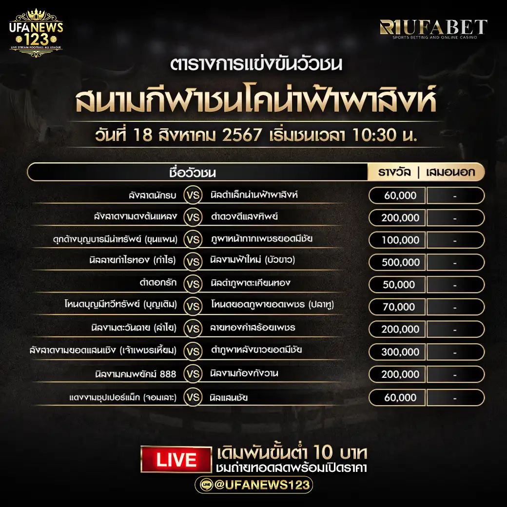 โปรแกรมวัวชน สนามกีฬาชนโคน่าฟ้าผาสิงห์ เริ่มชนเวลา 10:30 น. 18 สิงหาคม 2567