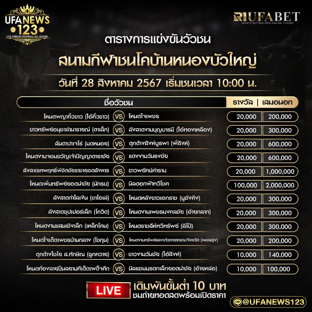 โปรแกรมวัวชน สนามชนโคบ้านหนองบัวใหญ่ เริ่มชนเวลา 10.00 น. 28 สิงหาคม 2567