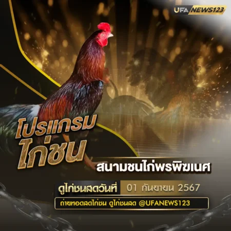 โปรแกรมไก่ชน 01 กันยายน 2567