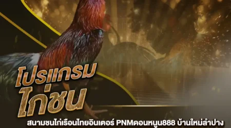 โปรแกรมไก่ชน 02 สิงหาคม 2567