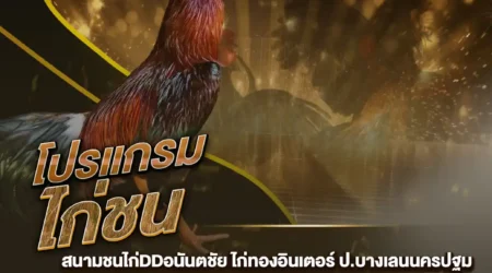 โปรแกรมไก่ชน 03 สิงหาคม 2567