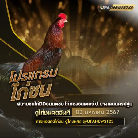 โปรแกรมไก่ชน 03 สิงหาคม 2567