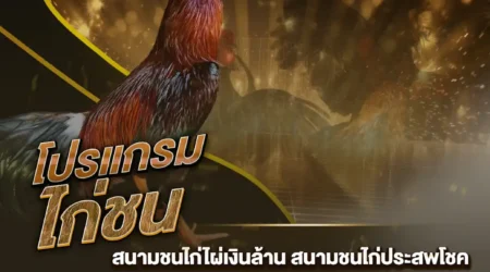 โปรแกรมไก่ชน 04 สิงหาคม 2567