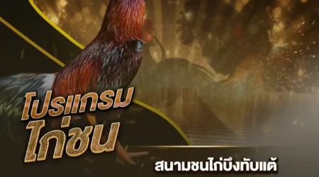 โปรแกรมไก่ชน 05 สิงหาคม 2567