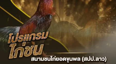 โปรแกรมไก่ชน 08 สิงหาคม 2567