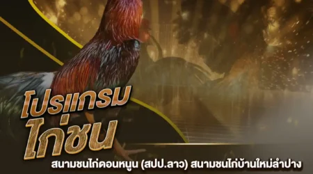 โปรแกรมไก่ชน 09 สิงหาคม 2567