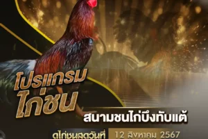 โปรแกรมไก่ชน 12 สิงหาคม 2567